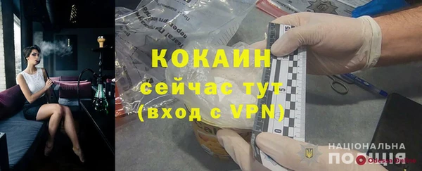 шишки Армянск