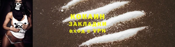 дживик Аркадак