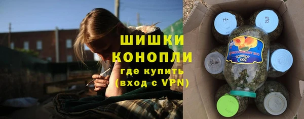 шишки Армянск
