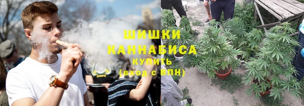 шишки Армянск
