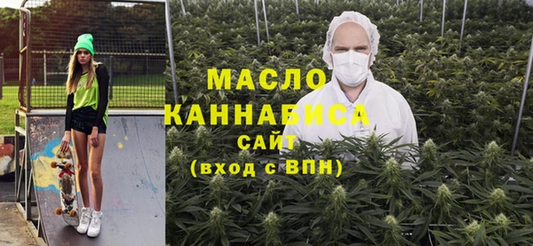 индика Пестово