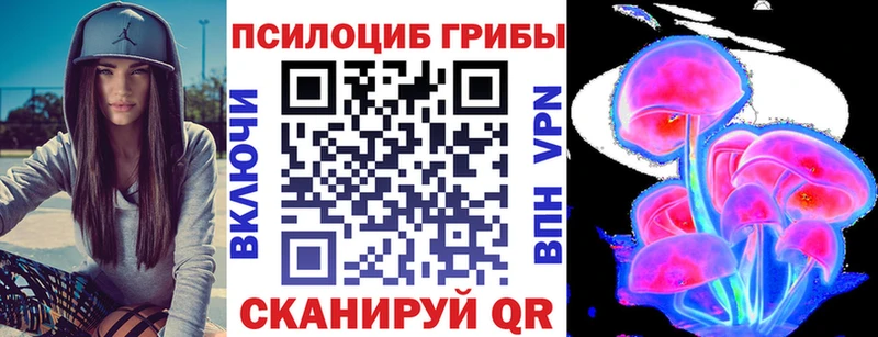 цена наркотик  Лениногорск  Галлюциногенные грибы GOLDEN TEACHER 